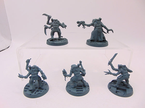 Acolyte Hybrids