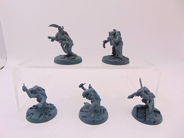 Acolyte Hybrids