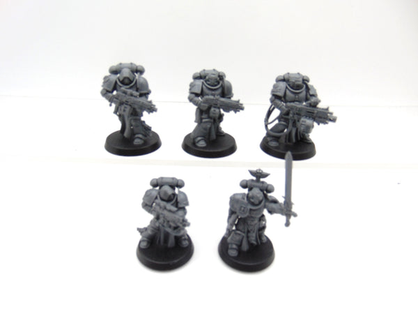 Sternguard Veterans