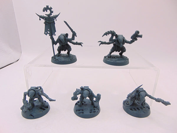 Acolyte Hybrids