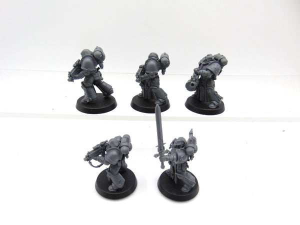 Sternguard Veterans