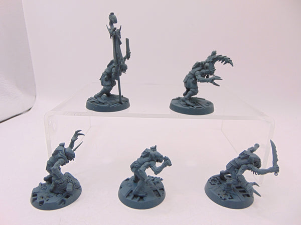 Acolyte Hybrids