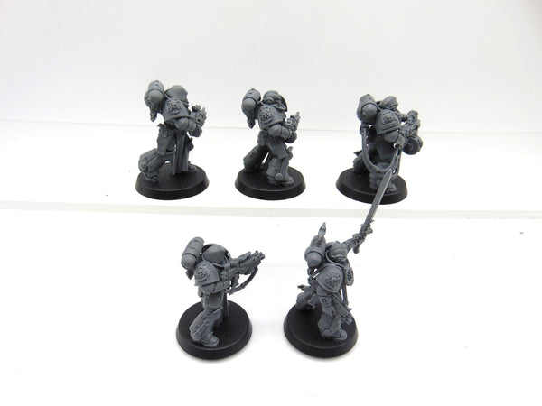 Sternguard Veterans
