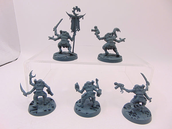 Acolyte Hybrids