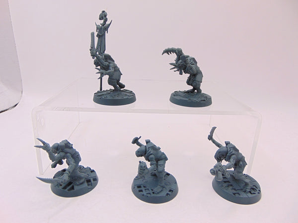 Acolyte Hybrids