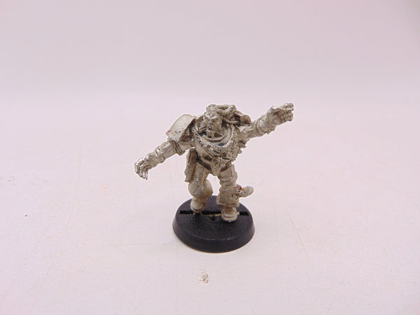 Wulfen