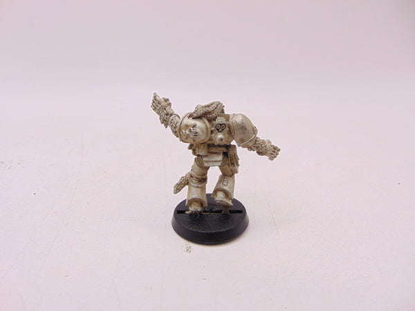 Wulfen