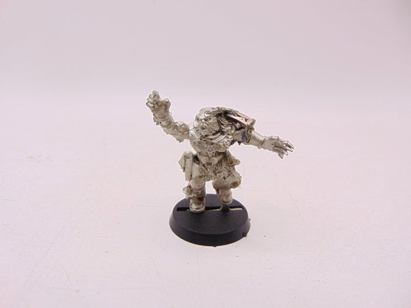 Wulfen