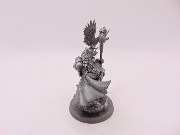Njal Stormcaller
