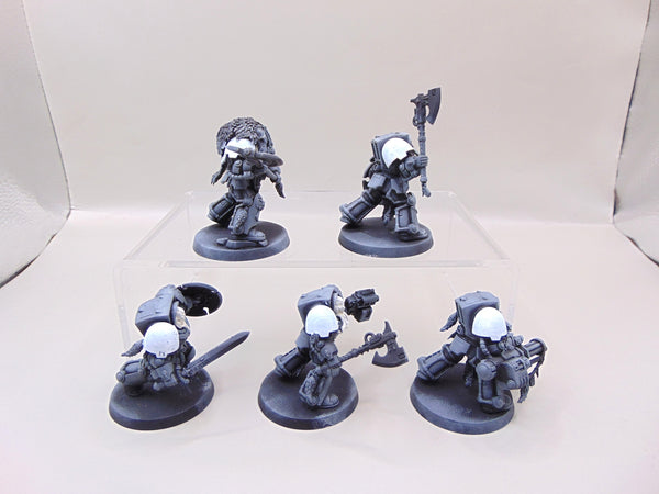 Wolf Guard Terminators