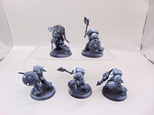 Wolf Guard Terminators
