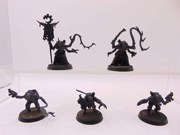 Acolyte Hybrids