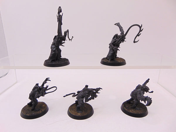 Acolyte Hybrids