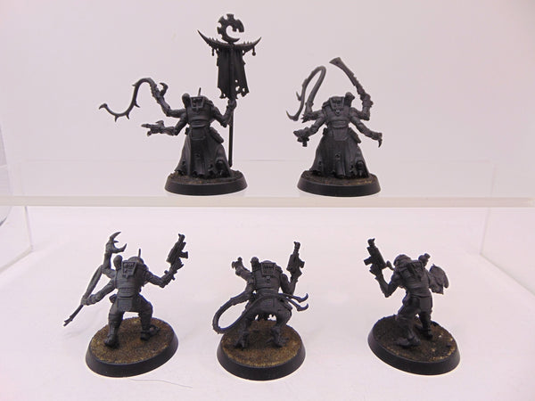 Acolyte Hybrids