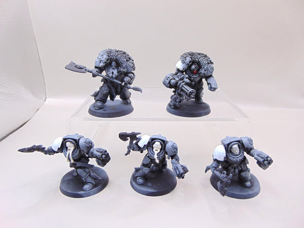 Wolf Guard Terminators