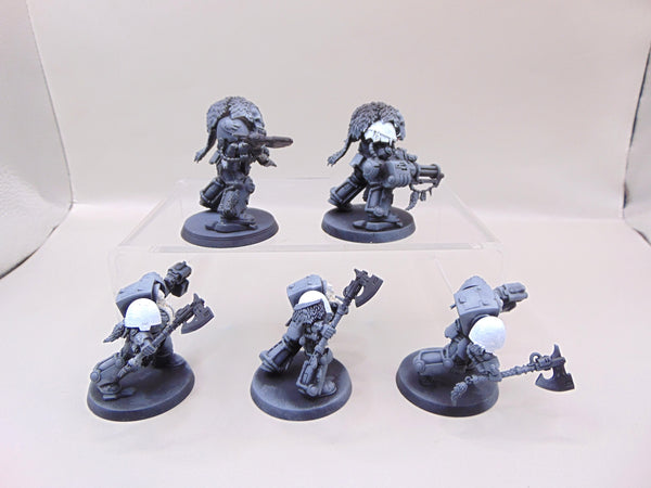 Wolf Guard Terminators