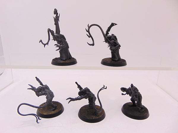 Acolyte Hybrids