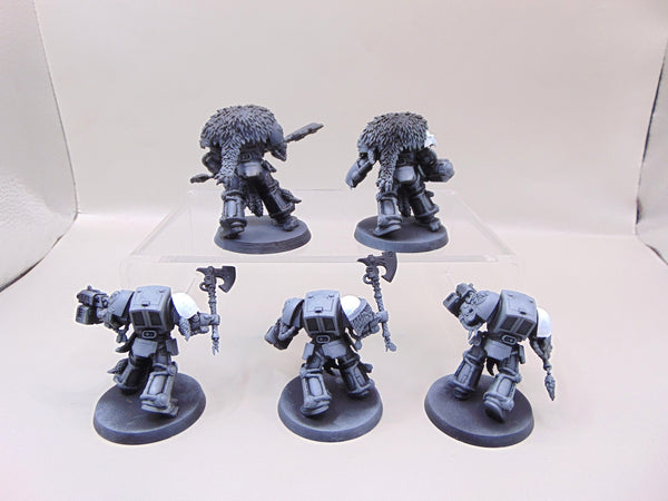 Wolf Guard Terminators