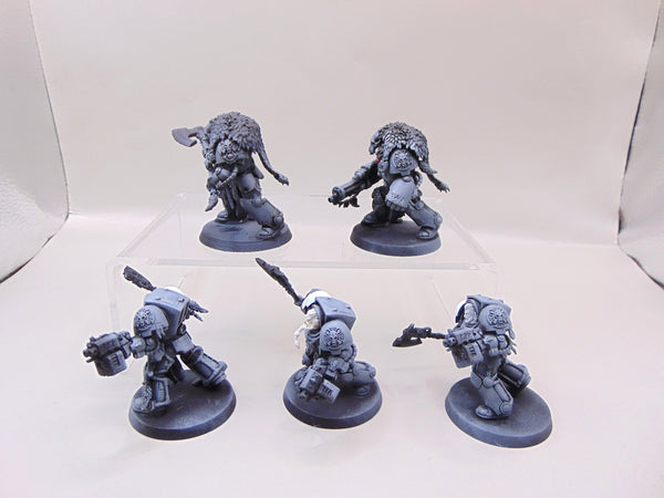 Wolf Guard Terminators