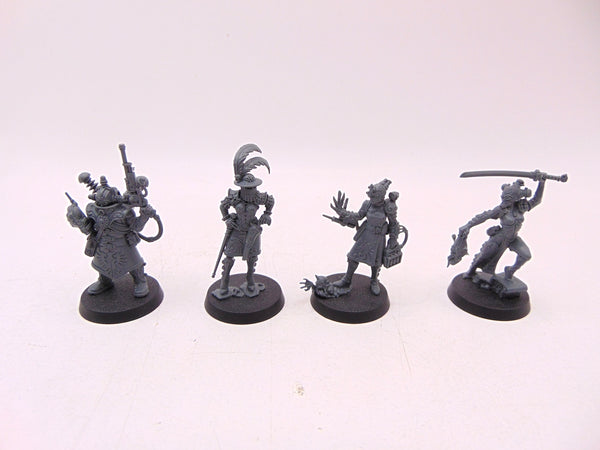 Rogue Trader Entourage