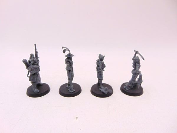 Rogue Trader Entourage