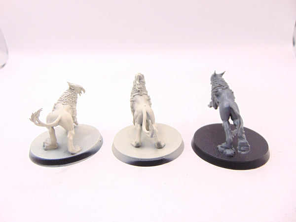 Gryph Hounds