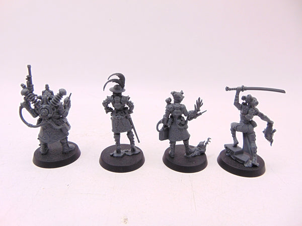 Rogue Trader Entourage