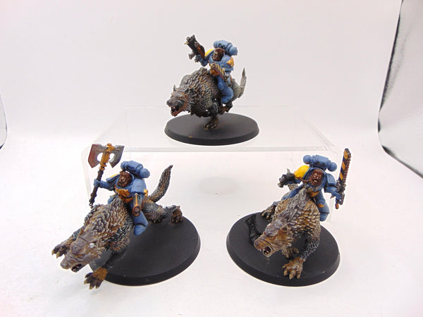 Thunderwolf Cavalry