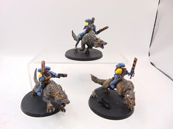 Thunderwolf Cavalry