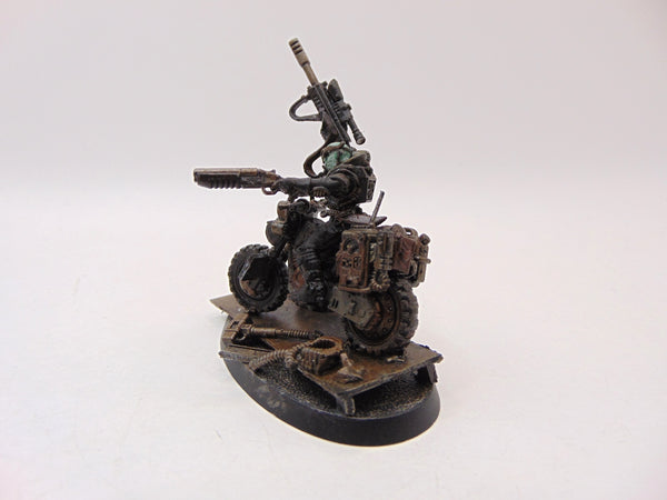 Jackal Alphus