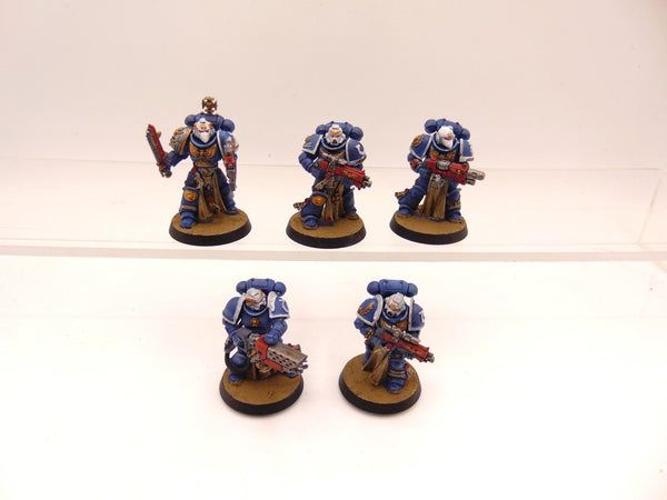 Sternguard Veterans