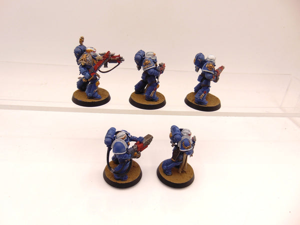 Sternguard Veterans