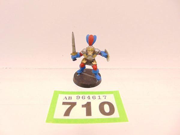 ADVANCED HEROQUEST - The Warrior
