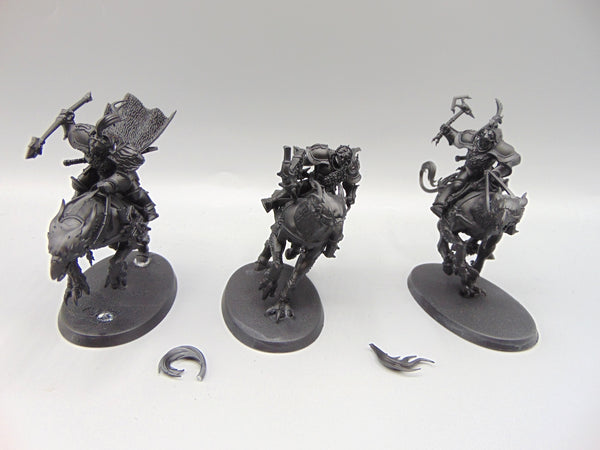 Vanguard Palladors