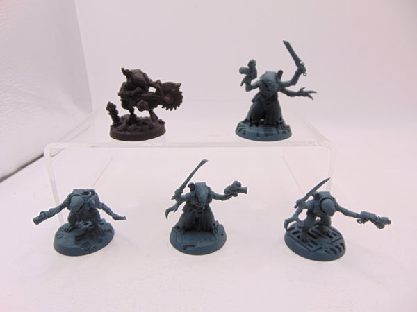 Acolyte Hybrids