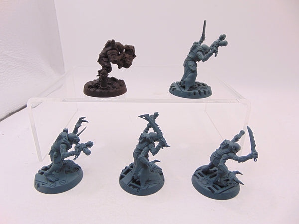 Acolyte Hybrids