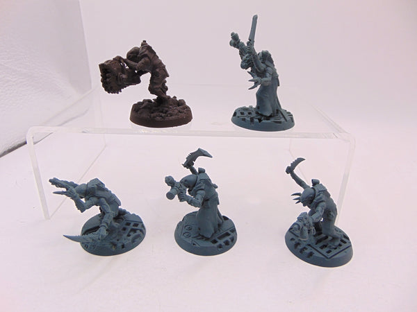 Acolyte Hybrids