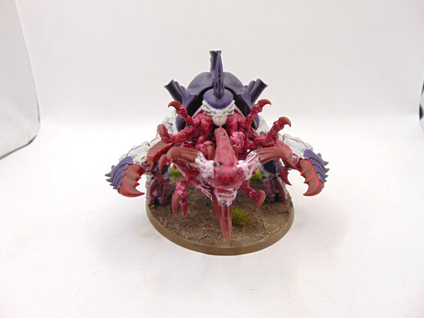 Haruspex