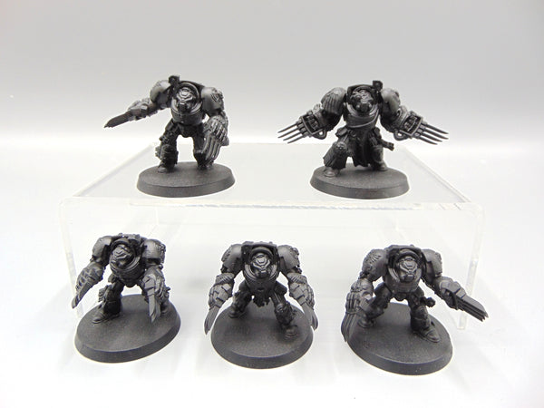 Blood Angels Terminator Squad