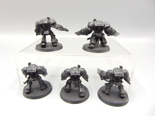 Blood Angels Terminator Squad