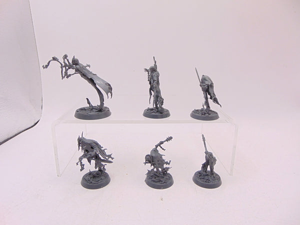 Thorns of the Briar Queen