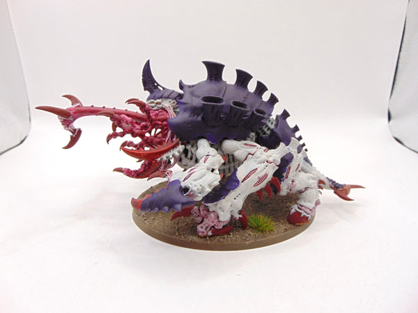 Haruspex