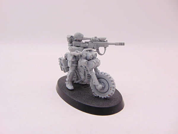 Jackal Alphus