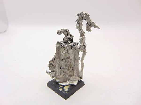Male Spellsinger with Staff