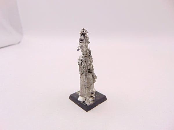 Male Spellsinger with Staff