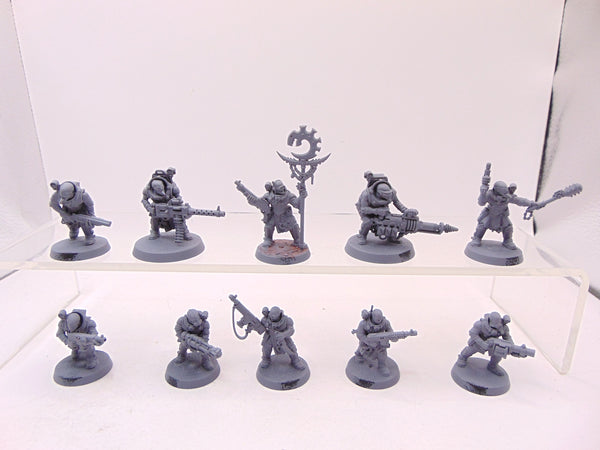 Neophyte Hybrids
