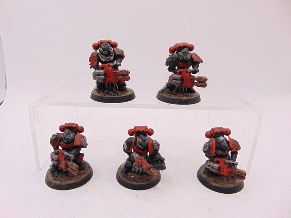 Sternguard Veterans