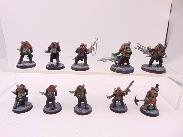 Neophyte Hybrids
