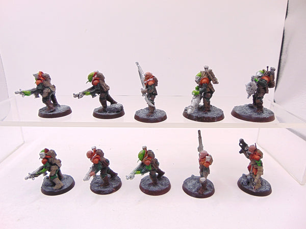 Neophyte Hybrids