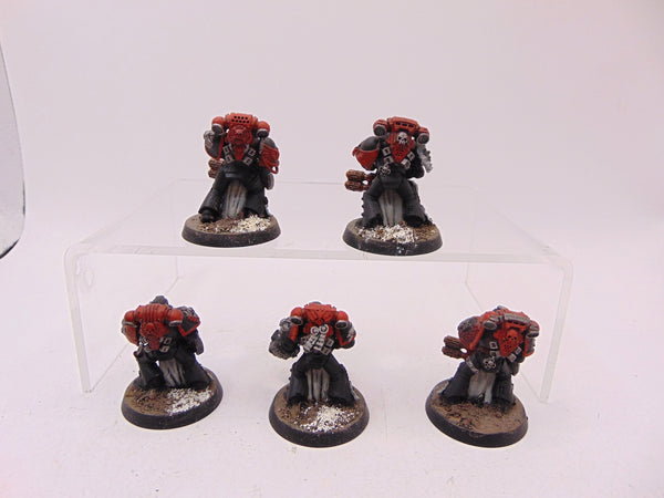 Sternguard Veterans
